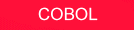 COBOL - Development and support for Legacy Systems