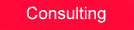 Information Technology Consulting